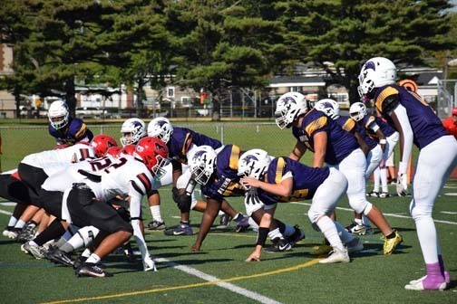 The Ravens are pictured during the game. 