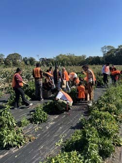 The Student Council recently traveled to the Island Harvest Healthy Harvest Farm in Brentwood.
