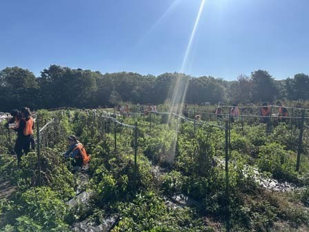 The Student Council recently traveled to the Island Harvest Healthy Harvest Farm in Brentwood.