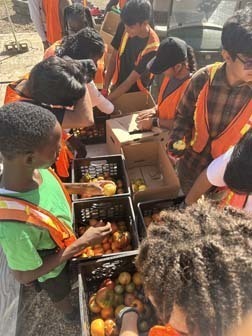 The Student Council recently traveled to the Island Harvest Healthy Harvest Farm in Brentwood.