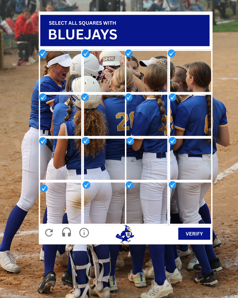 Bluejay Softball Captcha Graphic
