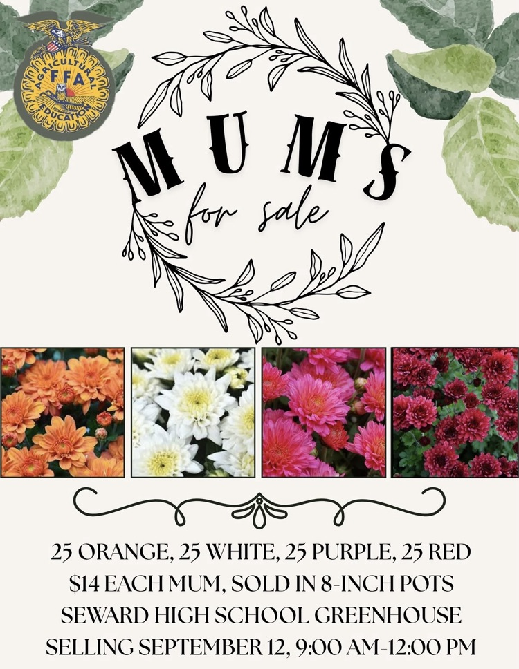 flier
