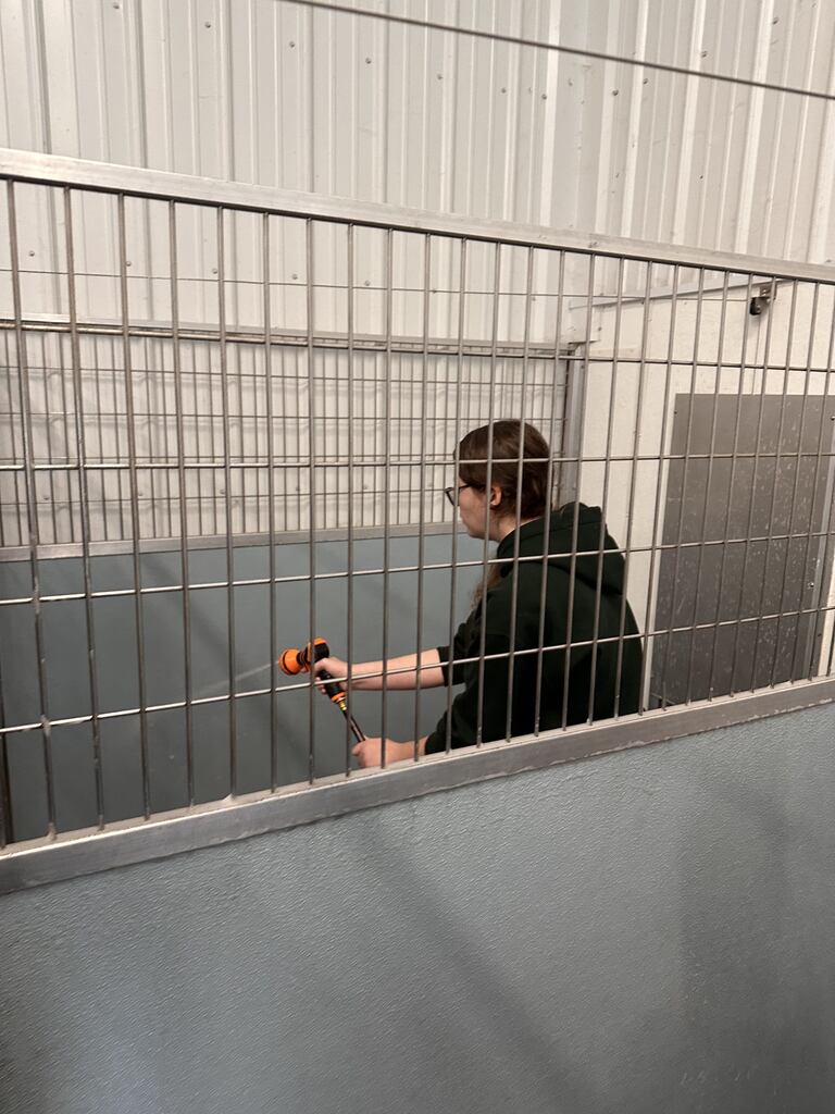 Service work at Blue River Pet Rescue