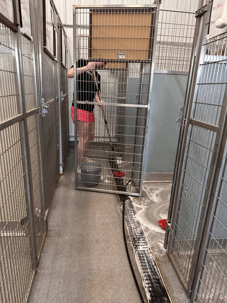 Service work at Blue River Pet Rescue