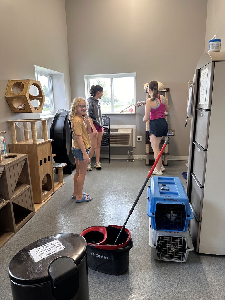 Service work at Blue River Pet Rescue