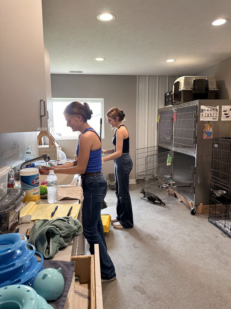 Service work at Blue River Pet Rescue