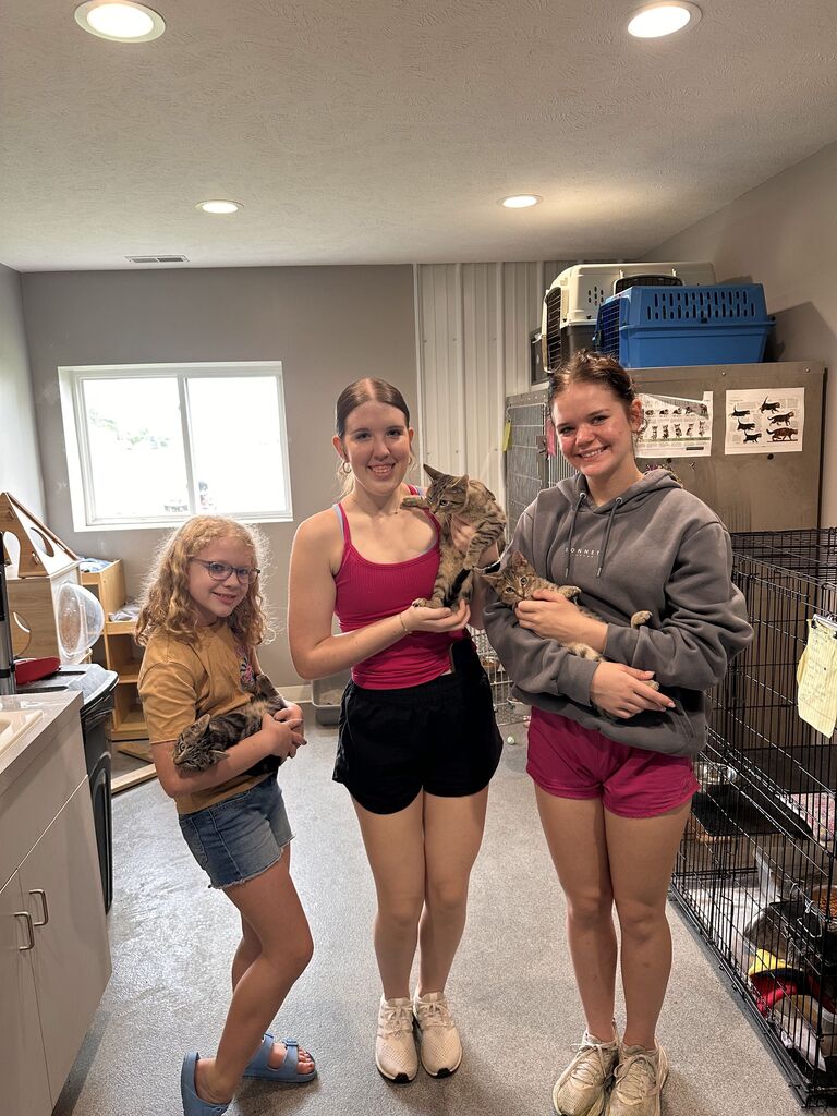 Service work at Blue River Pet Rescue
