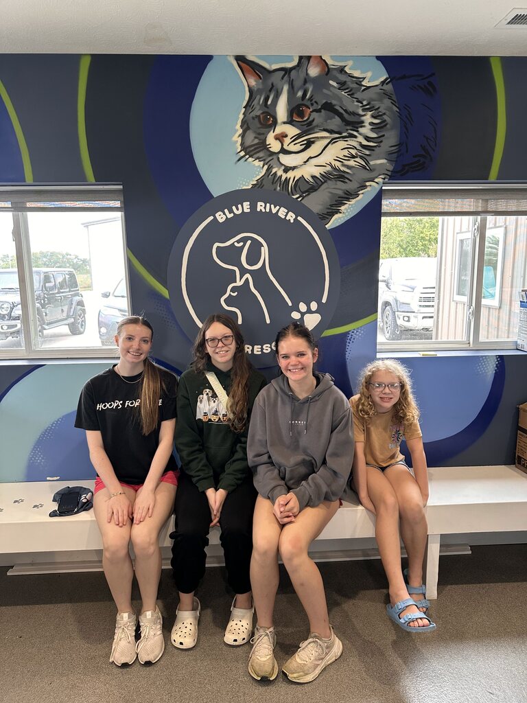 Service work at Blue River Pet Rescue