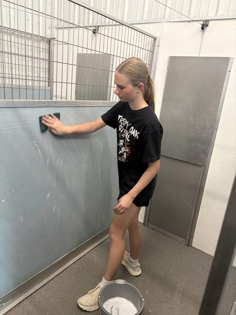 Service work at Blue River Pet Rescue