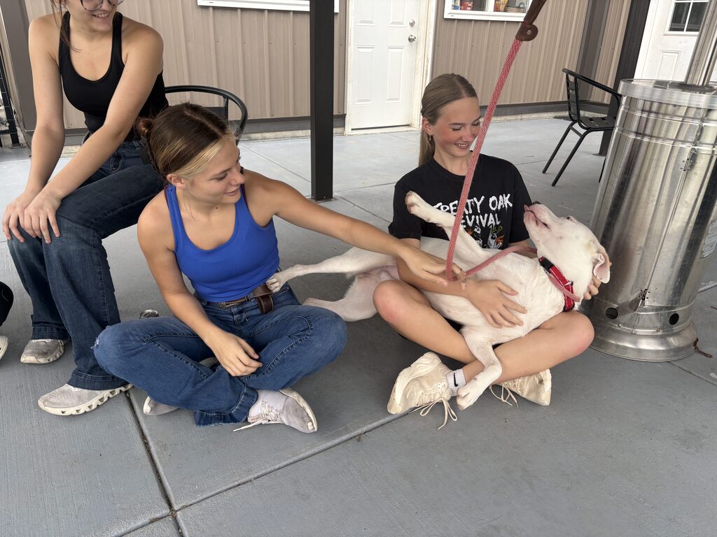 Service work at Blue River Pet Rescue