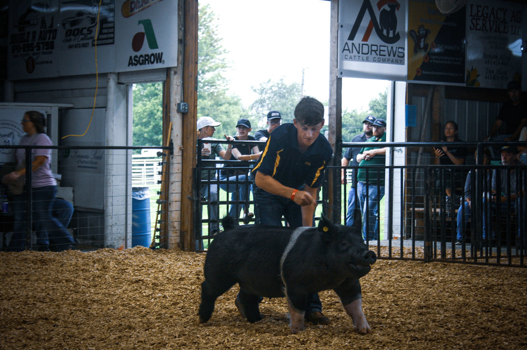 Chase Pig 2025