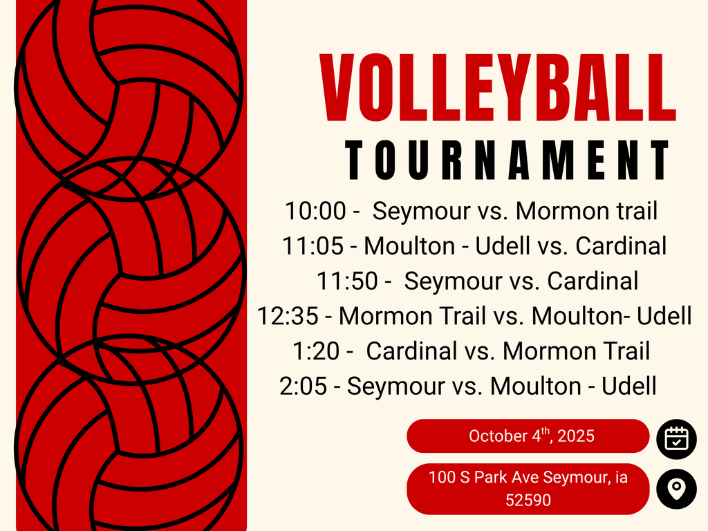 volleyball tournament at home