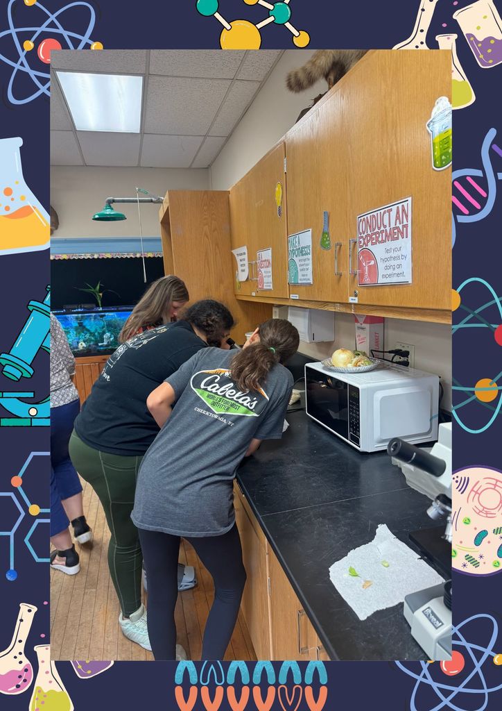 Some of our students explored cool science topics.