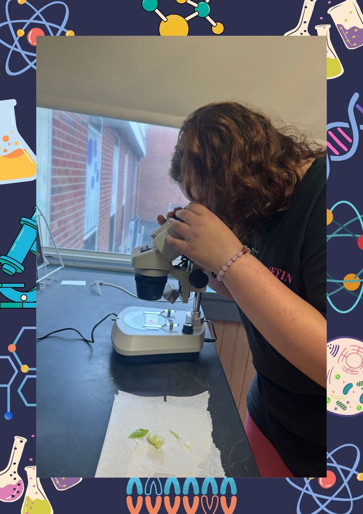 Some of our students explored cool science topics.