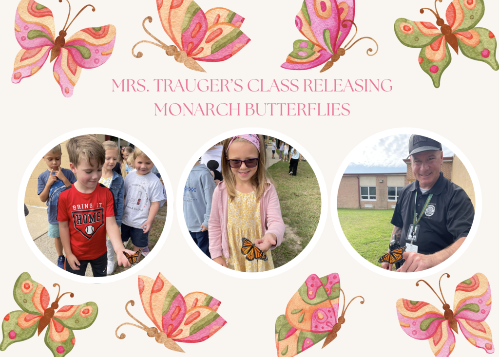 Mrs. Trauger's kindergarten class released monarch butterflies. #ShamongProud