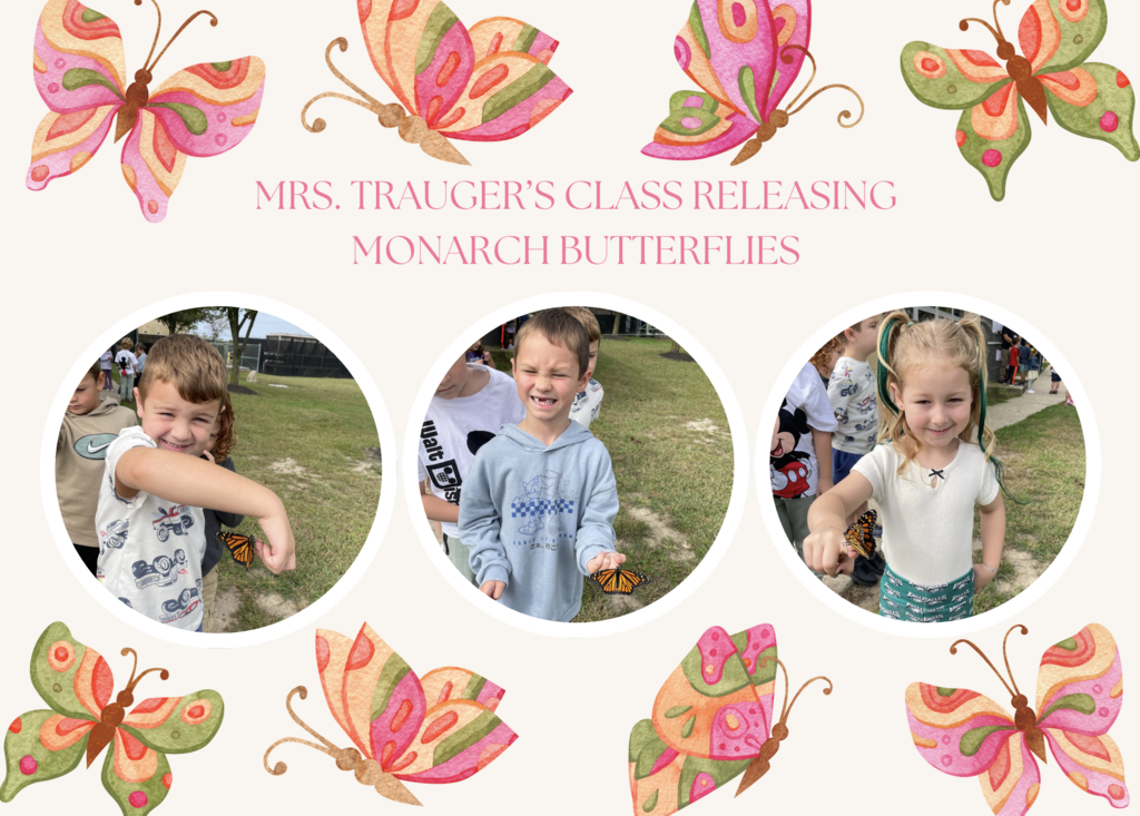 Mrs. Trauger's kindergarten class released monarch butterflies. #ShamongProud