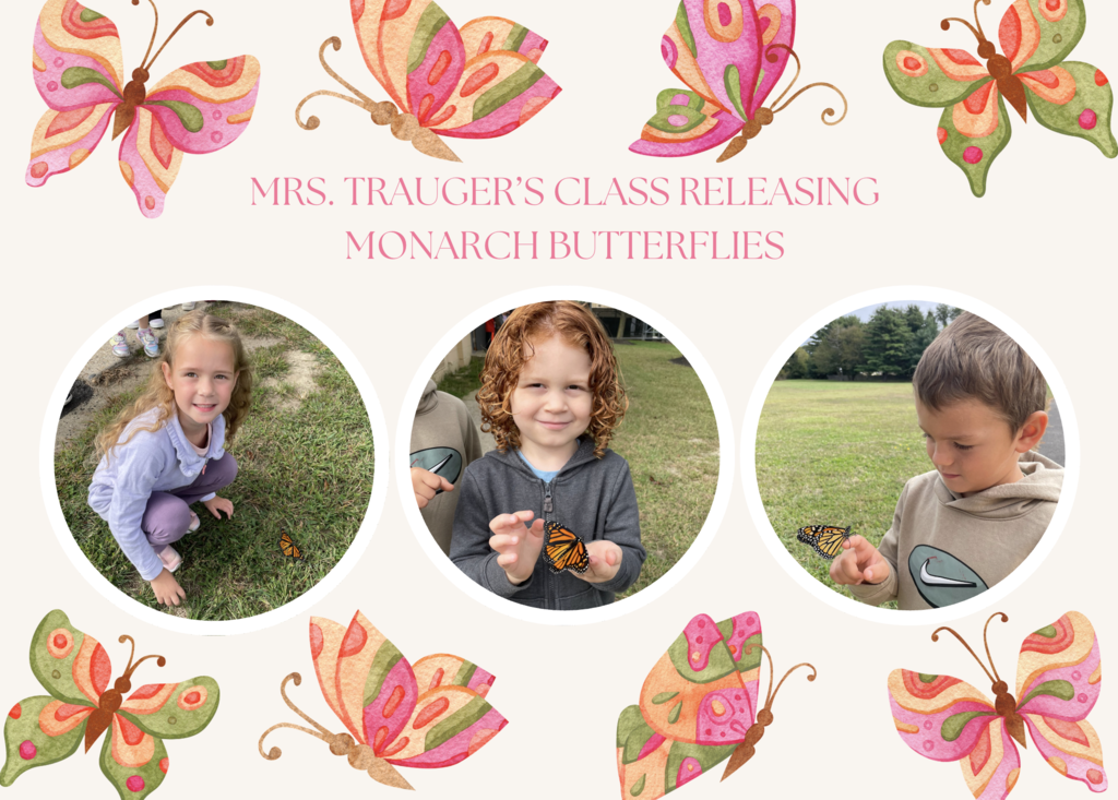 Mrs. Trauger's kindergarten class released monarch butterflies. #ShamongProud