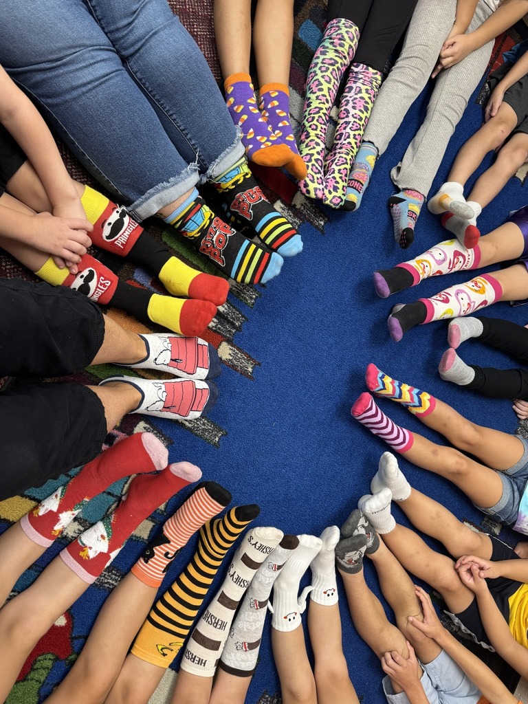 Crazy Sock Day!