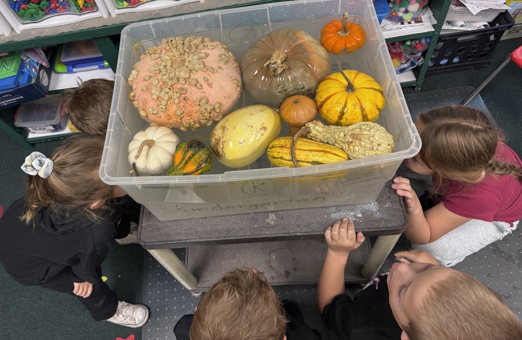 During the month of October our Chatsworth Bucks did so many amazing things.