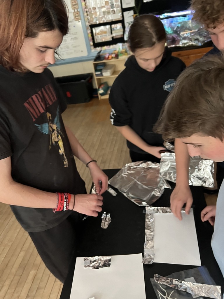 Our 8th grade scientists lit up the classroom today with an electrifying experiment on conductors and insulators.#ScienceRocks