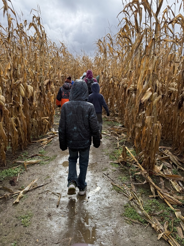 LEADS students explore a corn maze