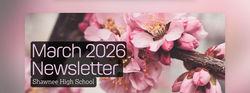 pick gradient background with pink cherryblossoms