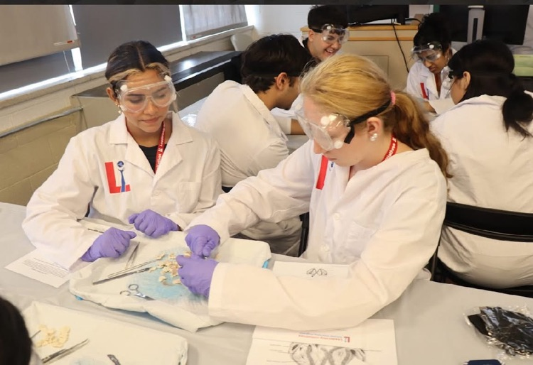 students in medical gear