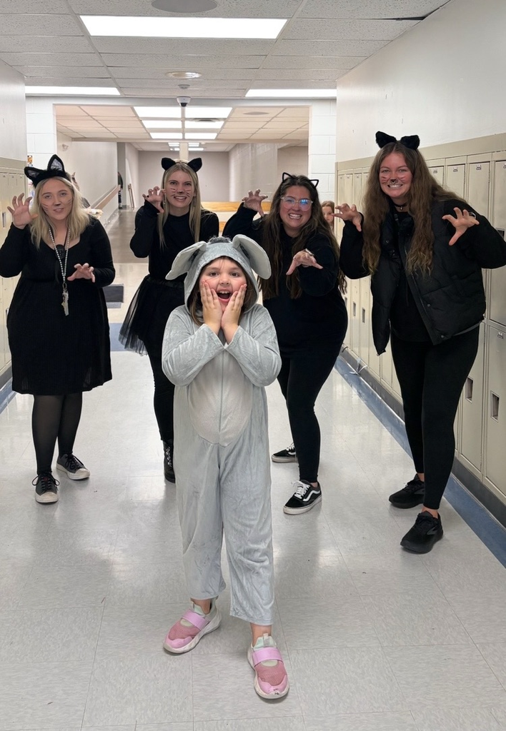 four adults dressed like cats with child dressed like mouse