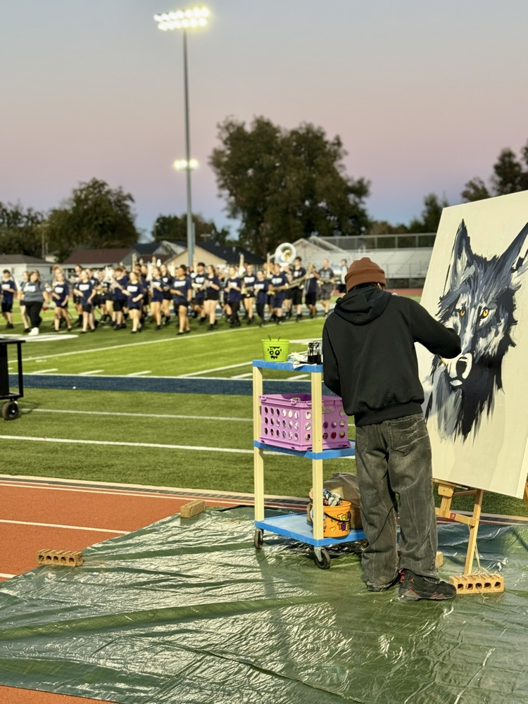 man painting wolf standing on football field