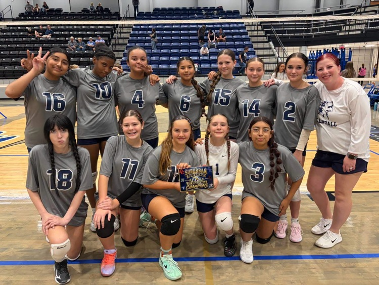 volleyball team in gray shirts