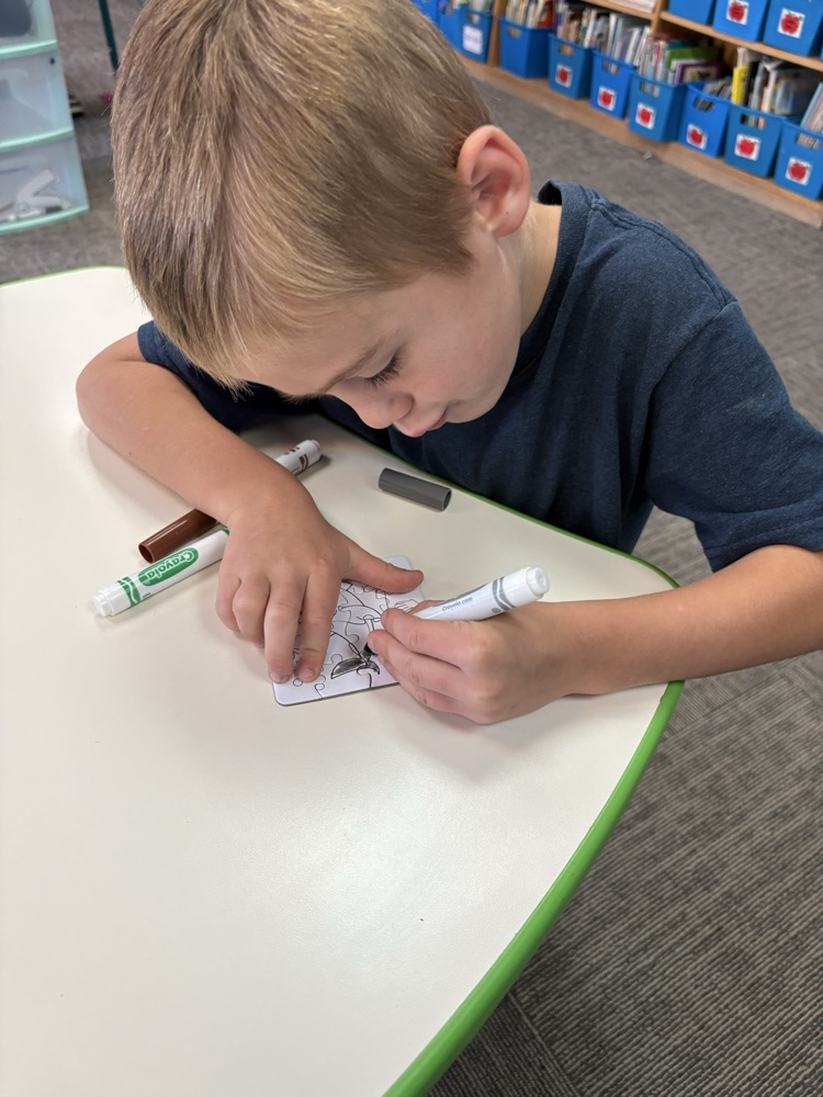 student coloring puzzle