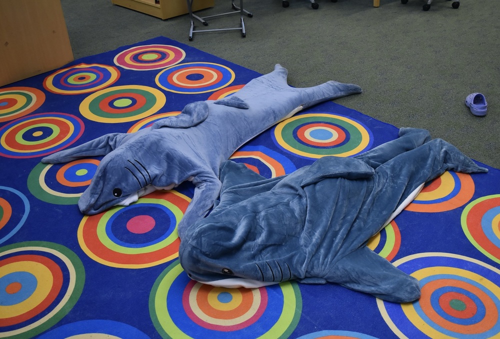 Shark Day