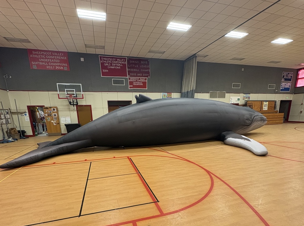 Big