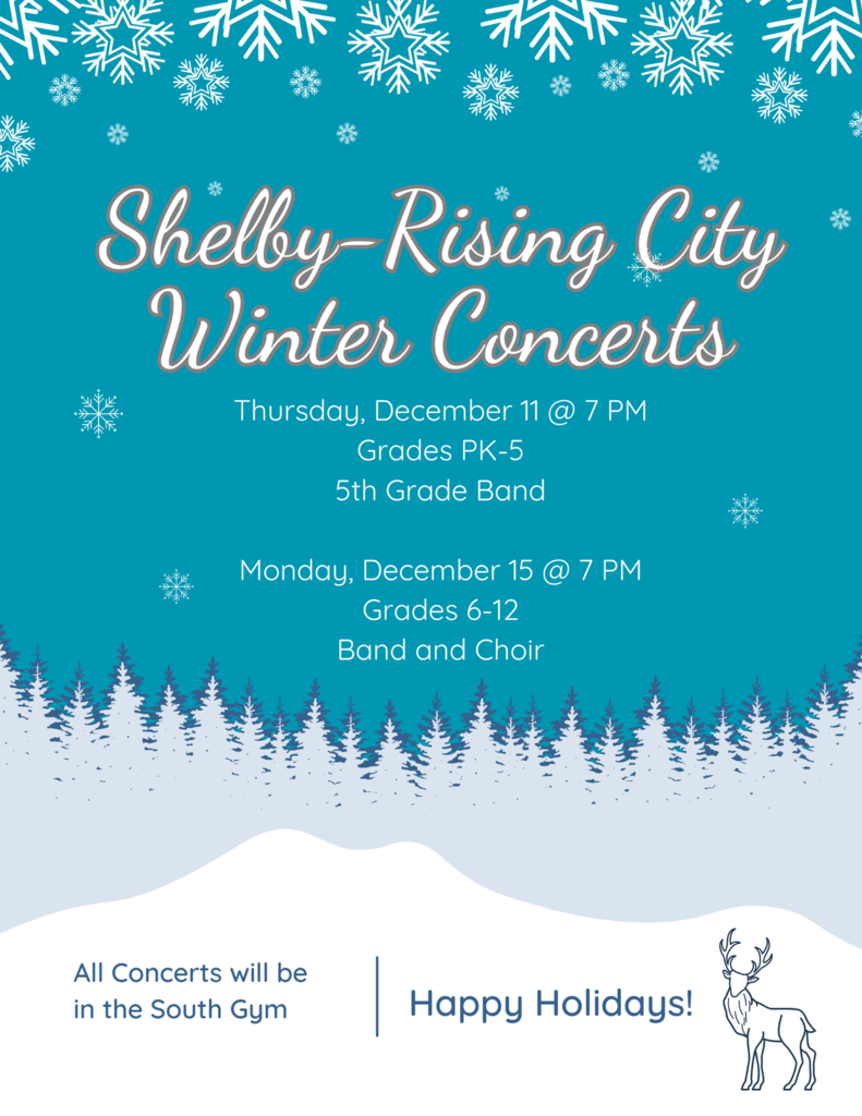 Blue Holiday Winter Wonderland Festival Flyer (3)