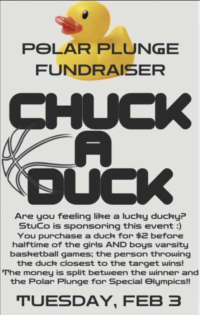 Chuck A Duck Flyer