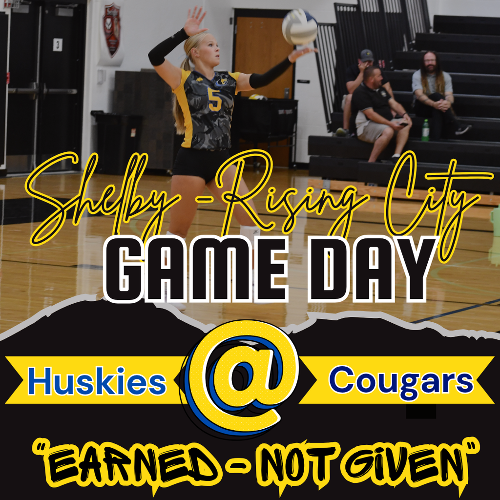 Volleyball Graphic