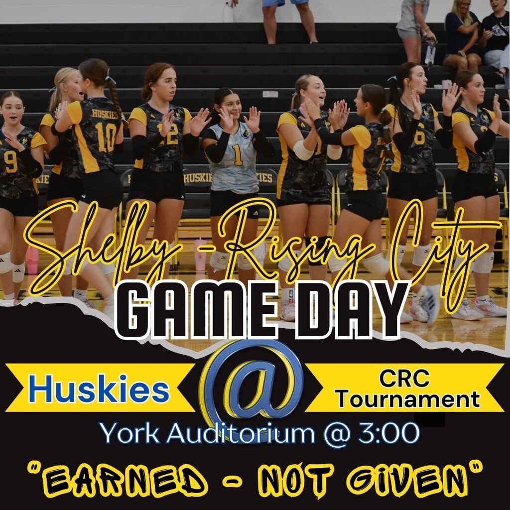 Volleyball Graphic