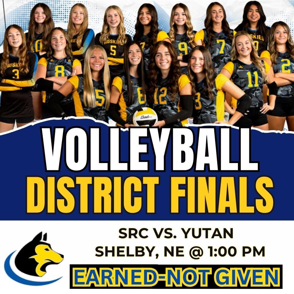Volleyball Graphic
