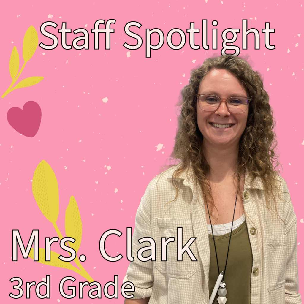 teacher spotlight