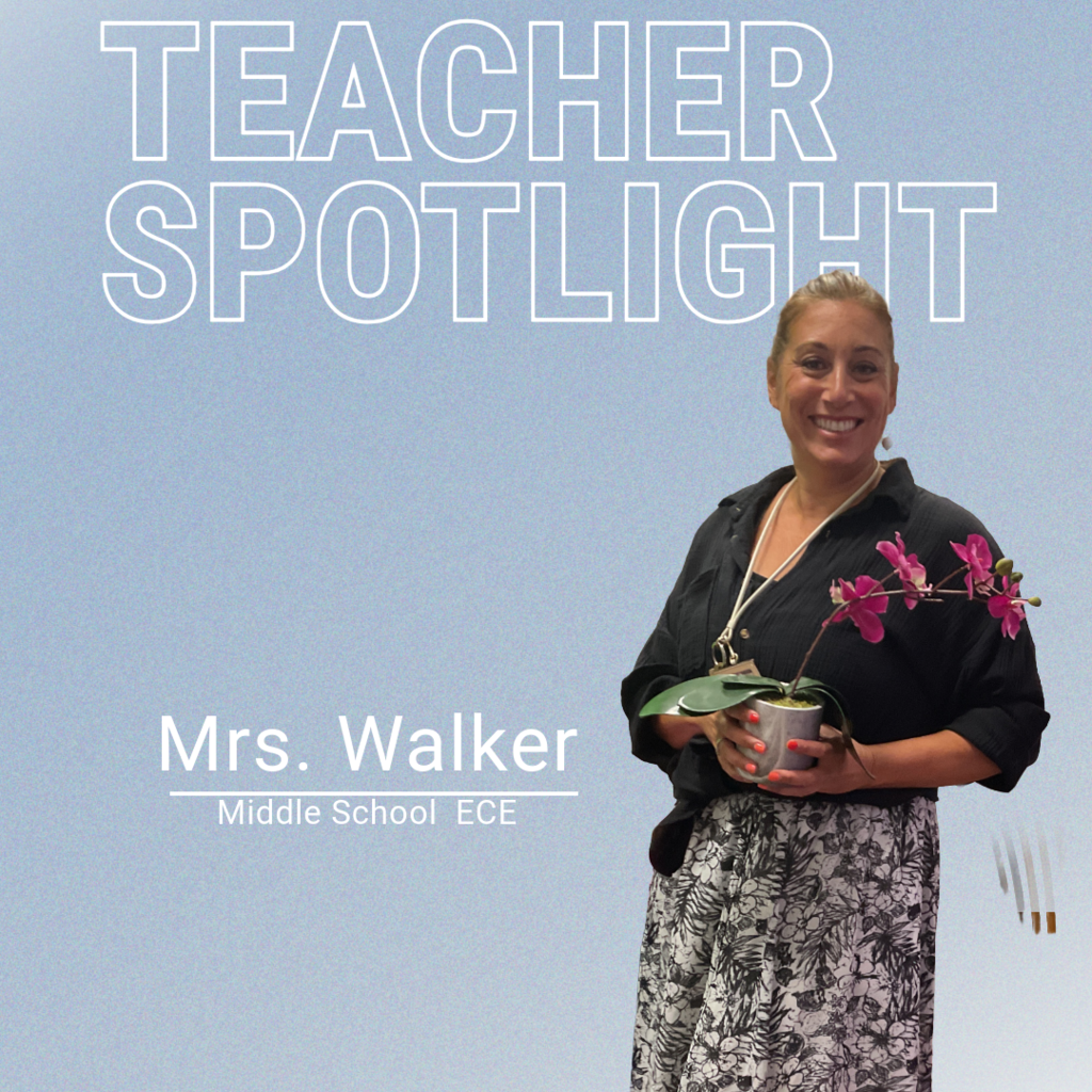 staff spotlight