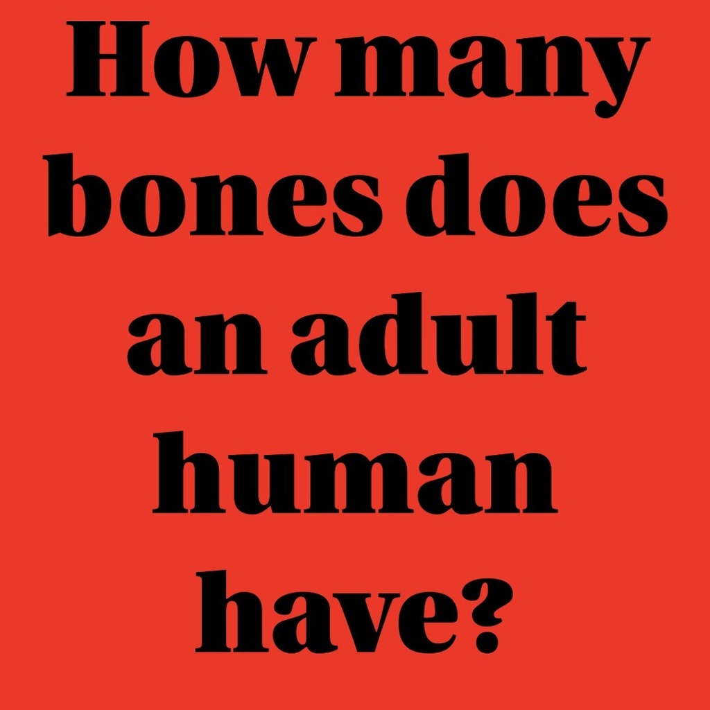 Trivia Question of the Day