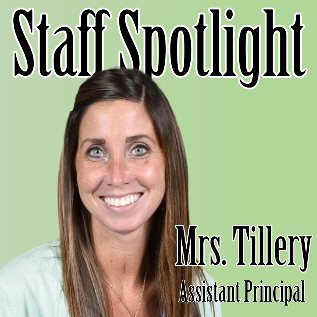 teacher spotlight