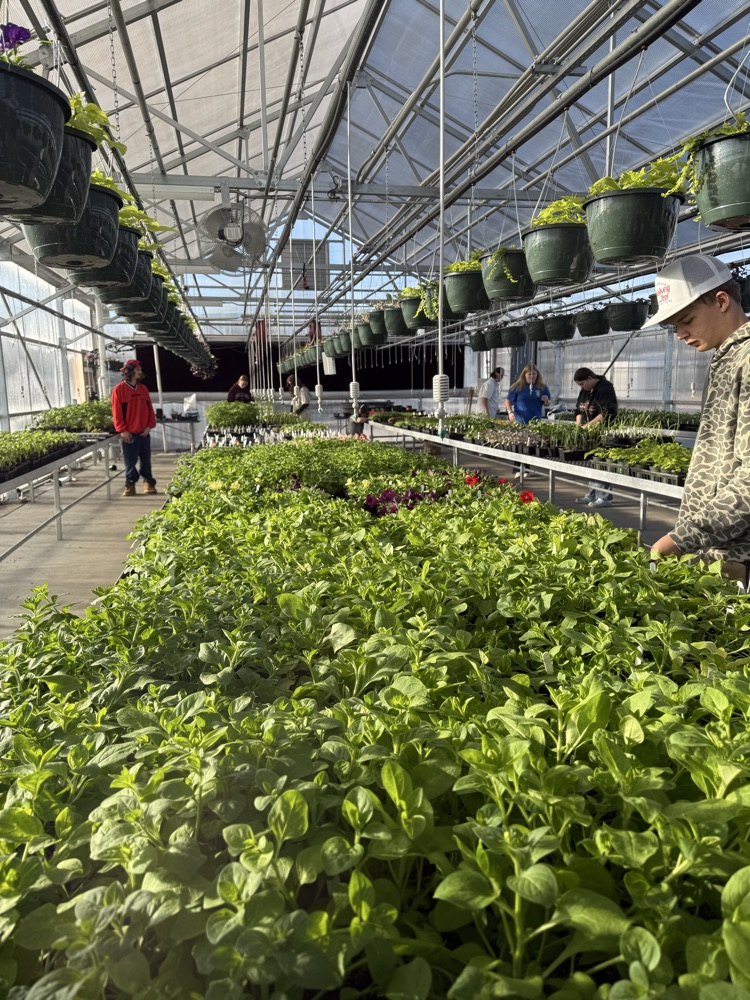 SCHS greenhouse