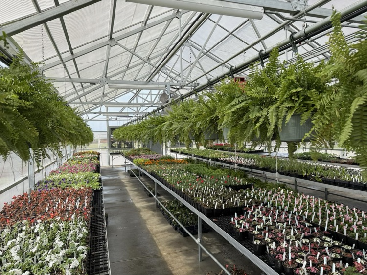 SCHS greenhouse