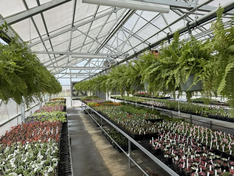 SCHS greenhouse