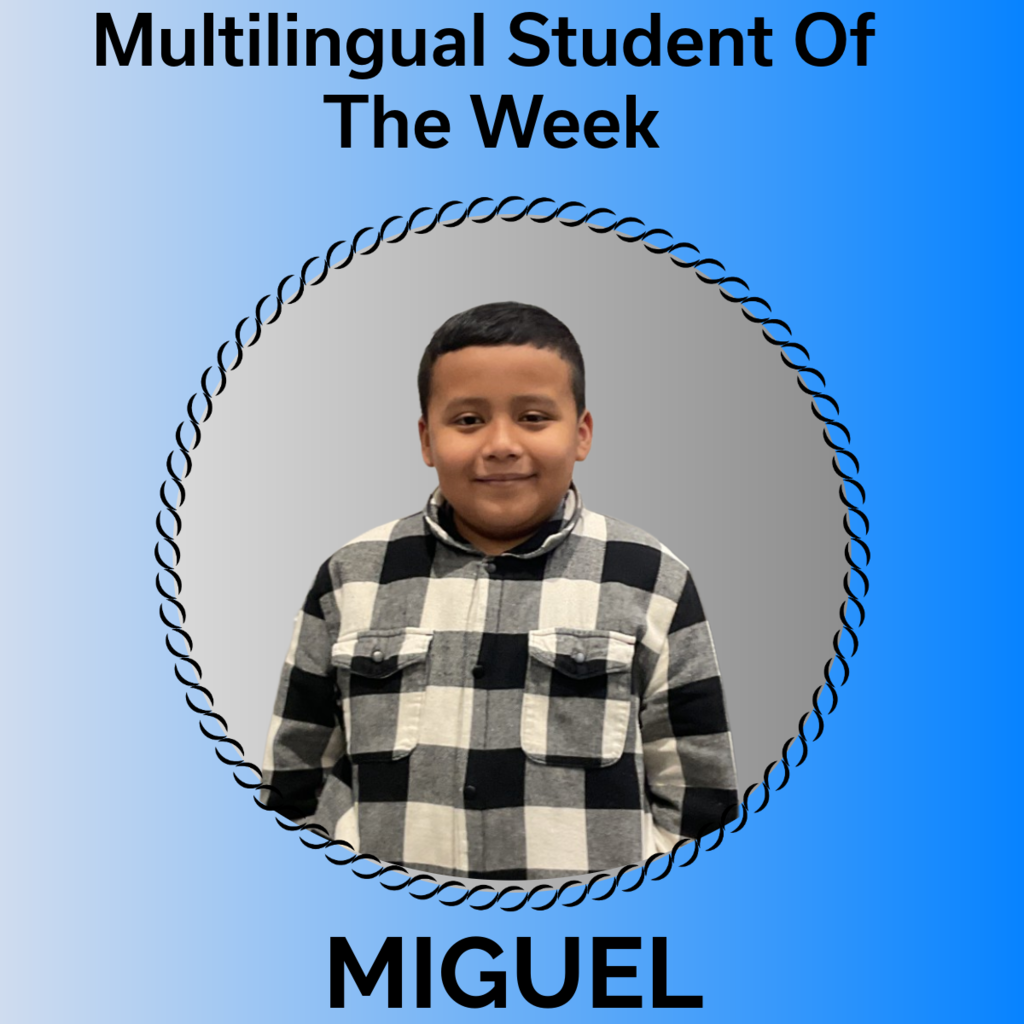 multilingual