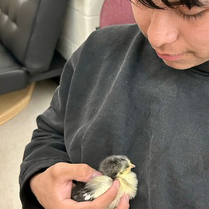 pictures of the incubation project