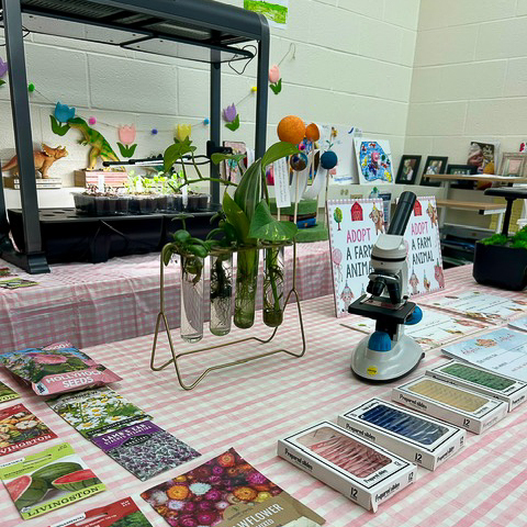 pictures of the incubation project
