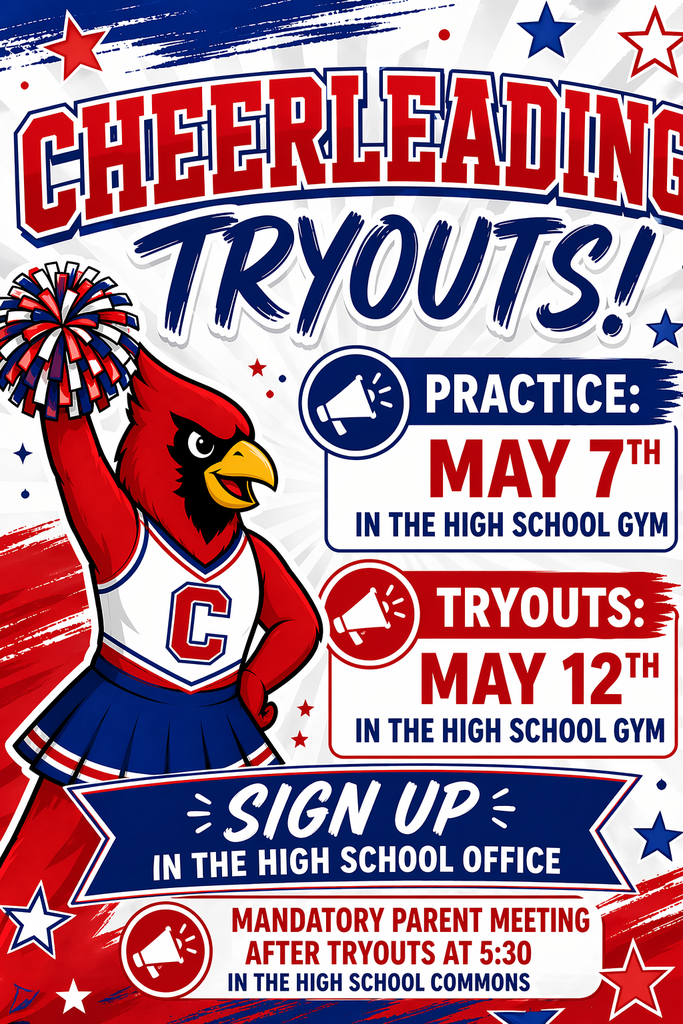 Cheer Try Outs