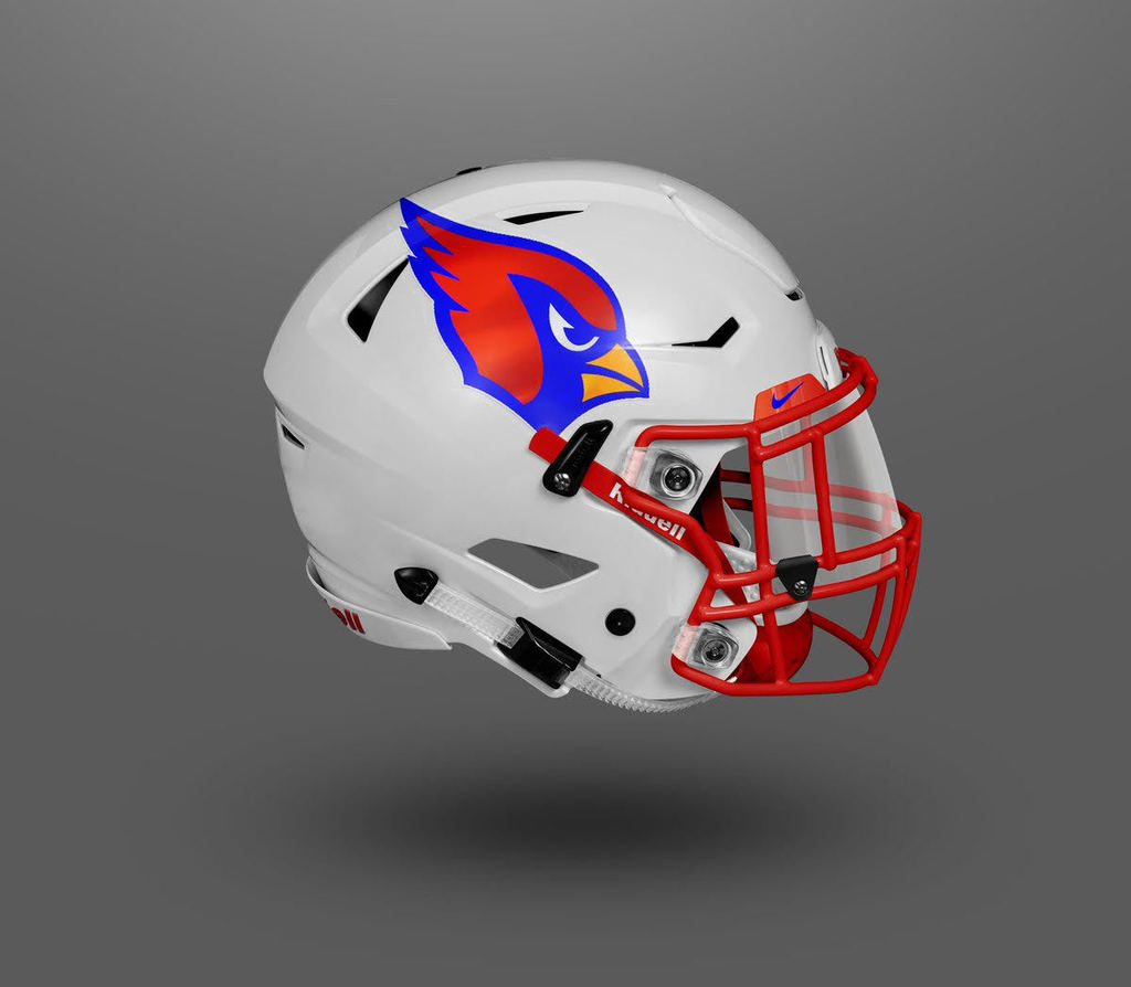 helmet